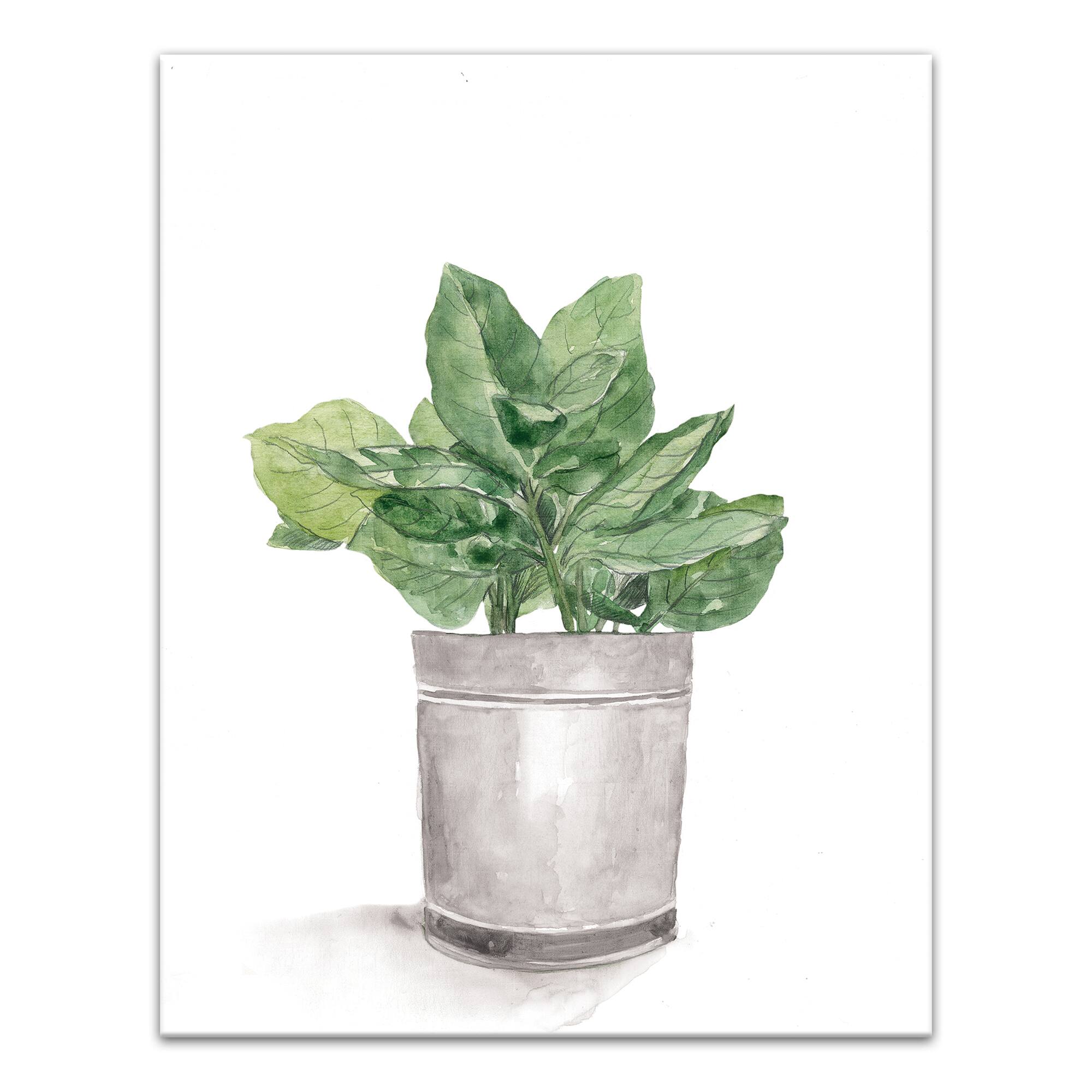 Bucket of Basil 11" x 14" Canvas Wall Art